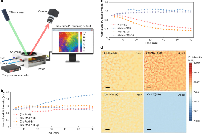Flexible Perovskite Lattice Powers Super‑Stable, High‑Efficiency Bifacial Solar Panels