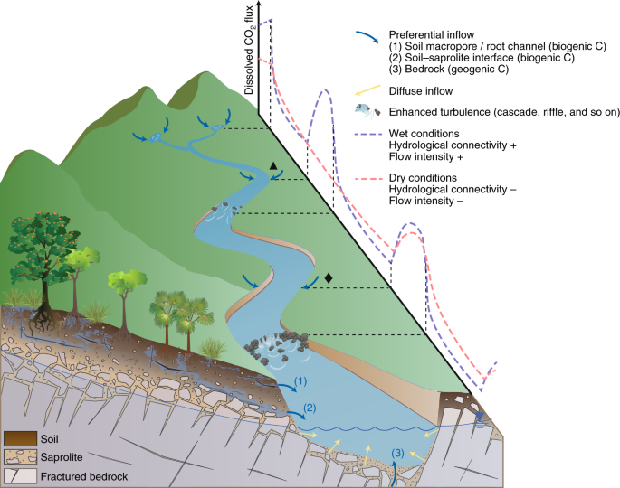 CO2 evasion along streams driven by groundwater inputs and geomorphic  controls