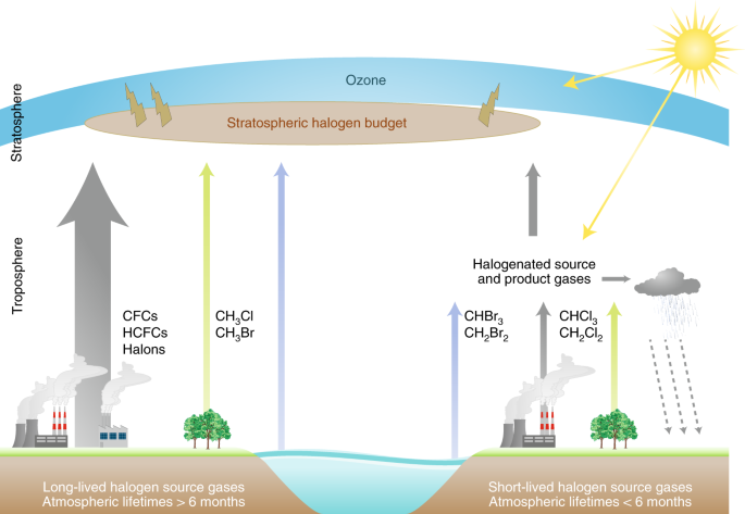 Anthropogenic Chlorine Under Watch Nature Geoscience