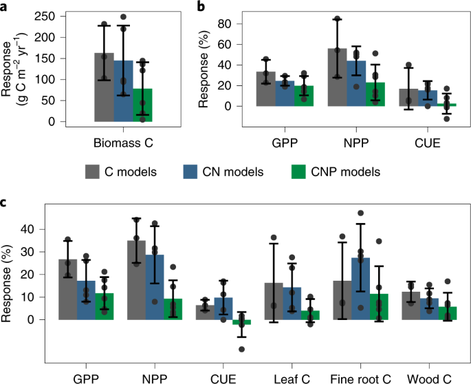 Amazon forest response to CO2 fertilization dependent on plant phosphorus  acquisition | Nature Geoscience