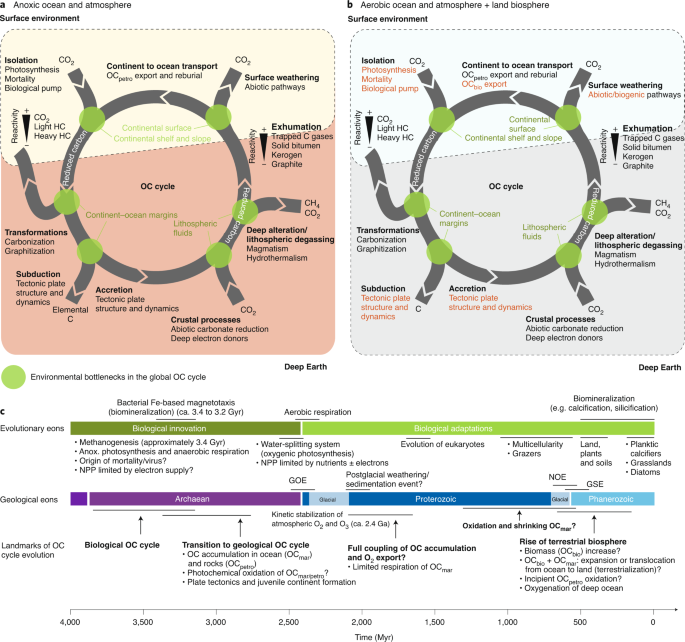 Materials And Pathways Of The Organic Carbon Cycle Through Time Nature Geoscience