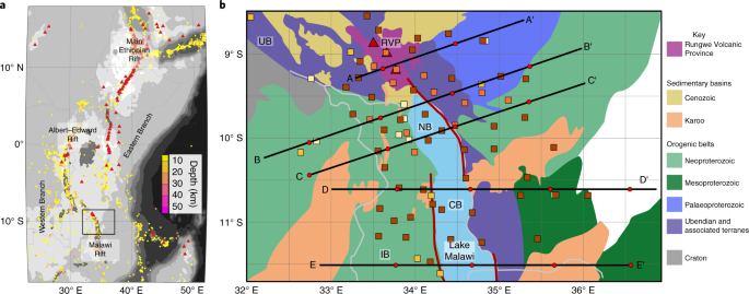 Preferential localized thinning of lithospheric mantle in the melt-poor Malawi Rift