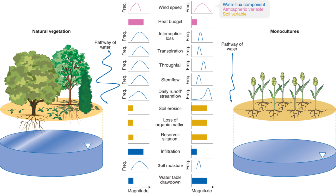 Homogenization Of The Terrestrial Water Cycle Nature Geoscience