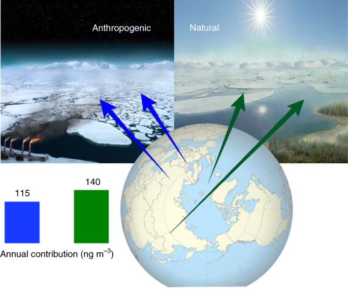 Equal abundance of summertime natural and wintertime anthropogenic Arctic  organic aerosols | Nature Geoscience