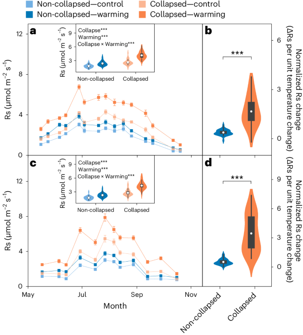 Enhanced response of soil respiration to experimental warming upon thermokarst formation - Vimarsana News