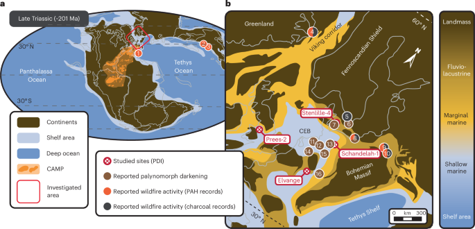 Continental-scale fern savannah wildfires during end-Triassic greenhouse warming - Nature Geoscience