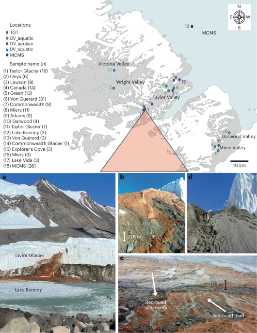 Molecular evidence for a relict marine community in an Antarctic Dry Valleys subglacial brine-fed system