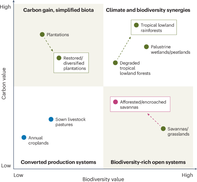 Nature-based solutions in open ecosystems must support biodiversity and people - Nature Geoscience