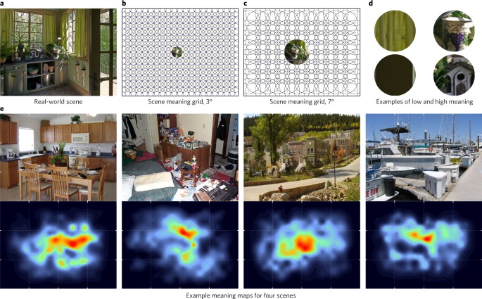 Meaning-based guidance of attention in scenes as revealed by meaning maps |  Nature Human Behaviour