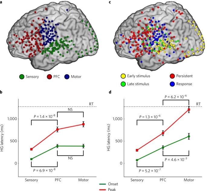 Persistent neuronal activity in human prefrontal cortex links perception and action