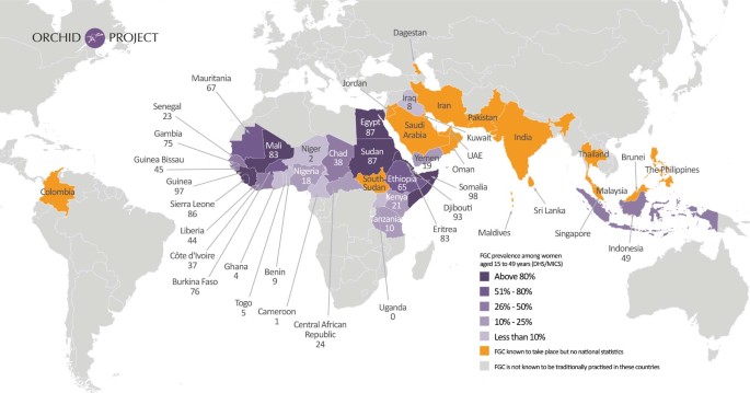 Cultural Evolutionary Public Policy Nature Human Behaviour