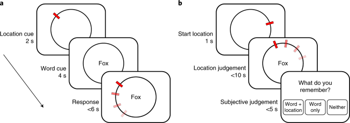 Nghua07f Ml7vm https www nature com articles s41562 020 0888 8
