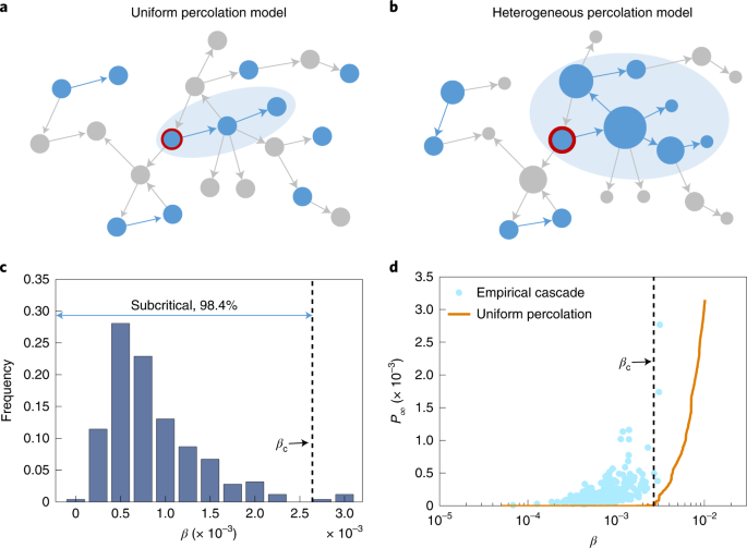 Detecting And Modelling Real Percolation And Phase Transitions Of Information On Social Media Nature Human Behaviour