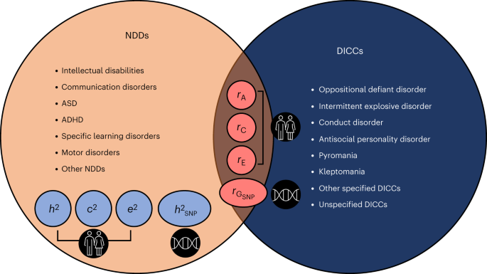 Understanding Developmental Disorders in the Genomic Ageers