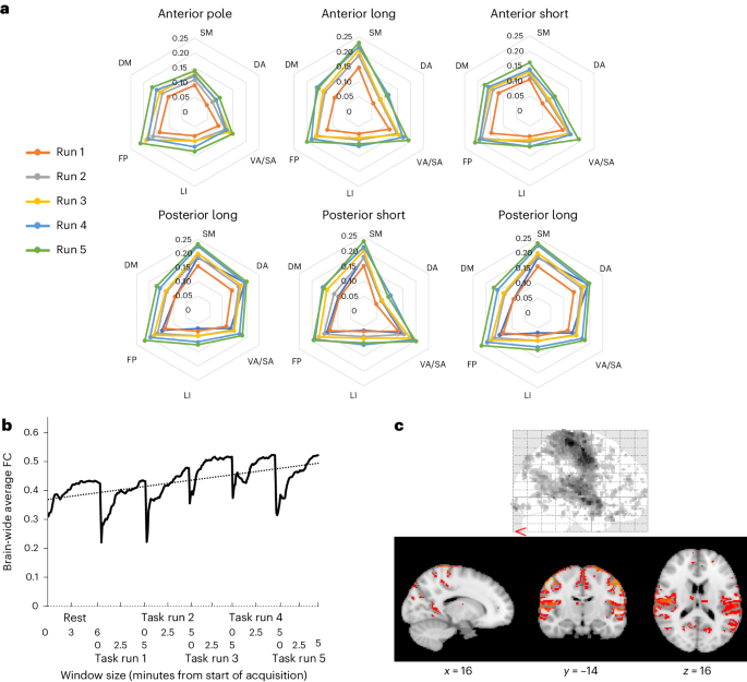 Brain-wide functional connectivity artifactually inflates throughout functional magnetic resonance imaging scans