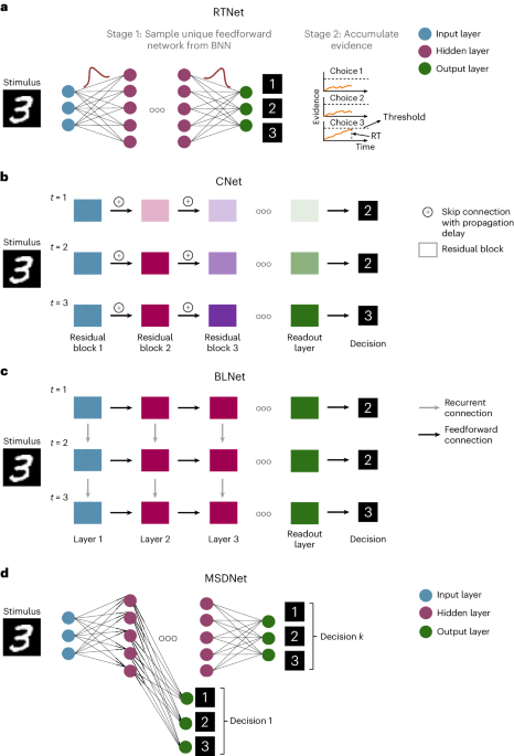 The neural network RTNet exhibits the signatures of human perceptual ...