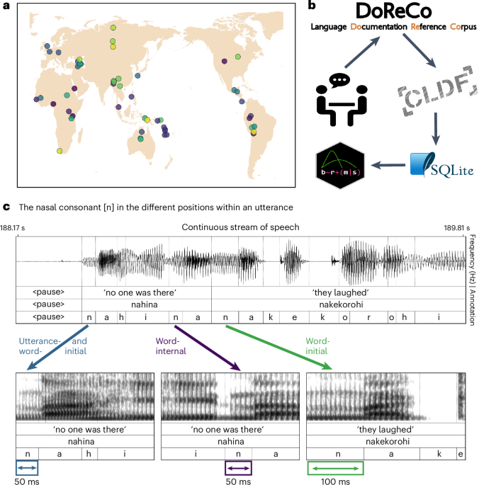 Longated Language Consonant lengthening marks the beginning of words across a diverse ...