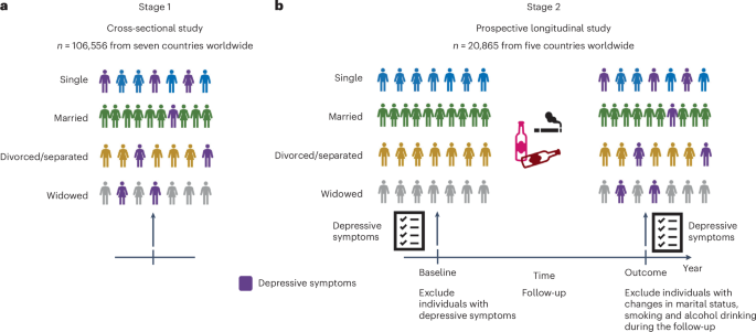 Association and causal mediation between marital status and depression ...