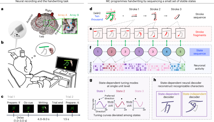 Human motor cortex encodes complex handwriting through a sequence of ...
