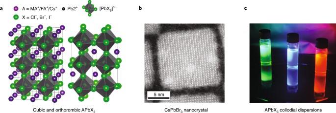 Genesis, challenges and opportunities for colloidal lead halide perovskite nanocrystals