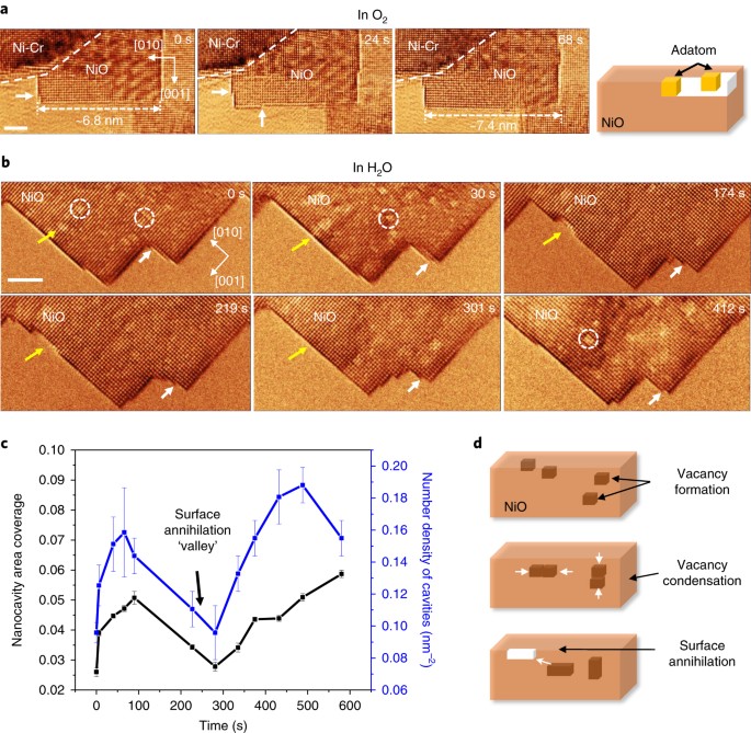 Atomic origins of water-vapour-promoted alloy oxidation