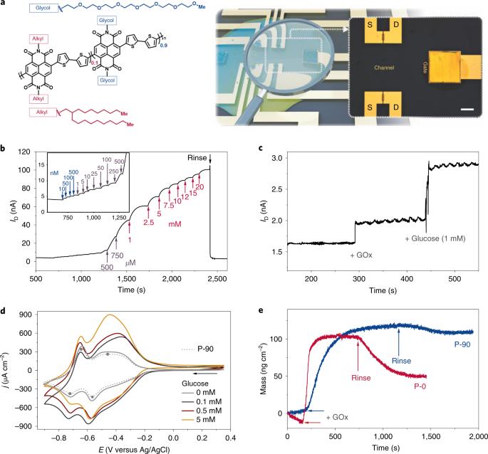Biofuel Powered Glucose Detection In Bodily Fluids With An N Type Conjugated Polymer Nature Materials