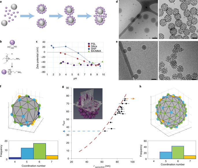 Spontaneous Organization Of Supracolloids Into Three Dimensional Structured Materials Nature Materials