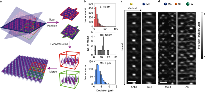 Defect-Induced Secondary Crystals Drive Two-Dimensional to Three