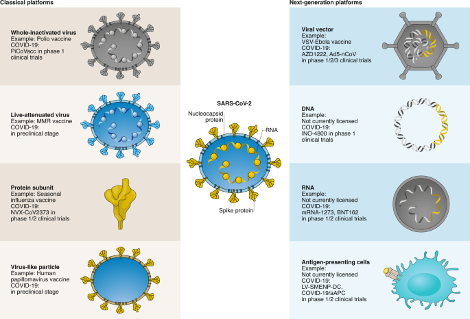 Next-generation vaccine platforms for COVID-19 | Nature Materials
