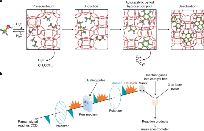 Insight into the effects of confined hydrocarbon species on the lifetime of methanol conversion catalysts