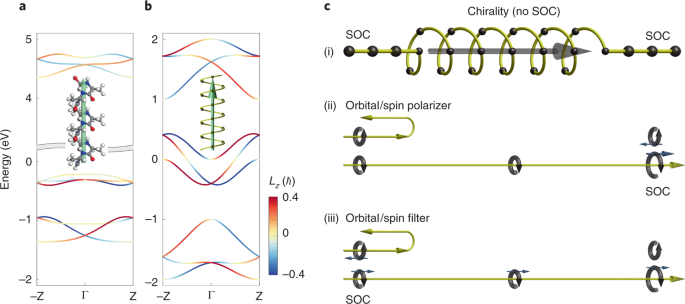 Chirality Driven Topological Electronic Structure Of Dna Like Materials Nature Materials