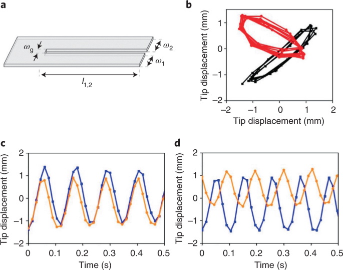 pics Helene Hendriksen coupled liquid crystalline oscillators