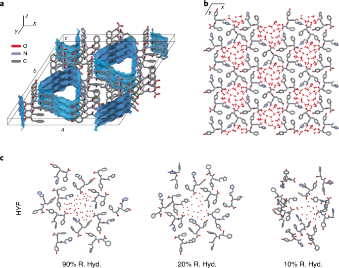Actuators powered by water hydrogen bonds