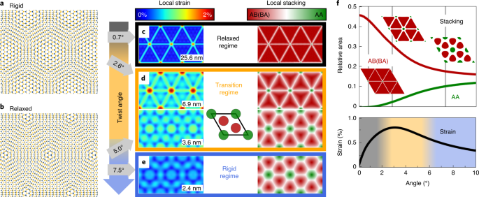 Phonon Renormalization In Reconstructed Mos 2 Moire Superlattices Nature Materials