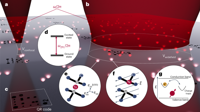 Large-scale optical characterization of solid-state quantum 