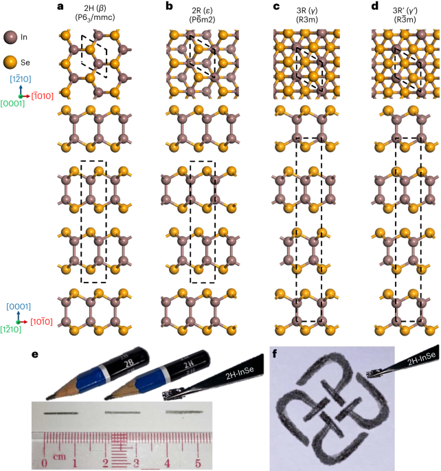 Deciphering the ultra-high plasticity in metal monochalcogenides 