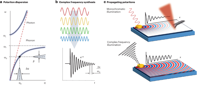 “the unreasonable effectiveness of mathematics” in evading polaritonic losses
