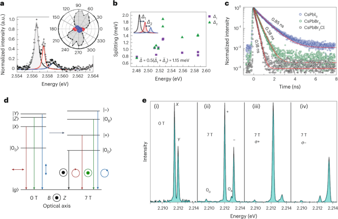 Coherent phenomena and dynamics of lead halide perovskite nanocrystals ...