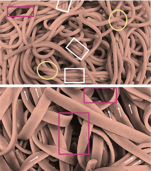 Terra incognita unravelled | Nature Materials