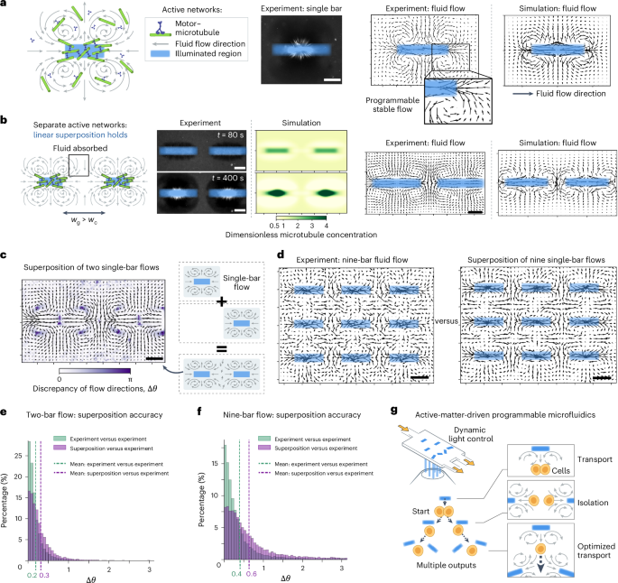 Dynamic flow control through active matter programming language Dynamic flow control through active matter programming language