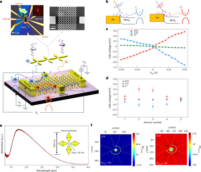 Chiral light detection with centrosymmetric-metamaterial-assisted valleytronics