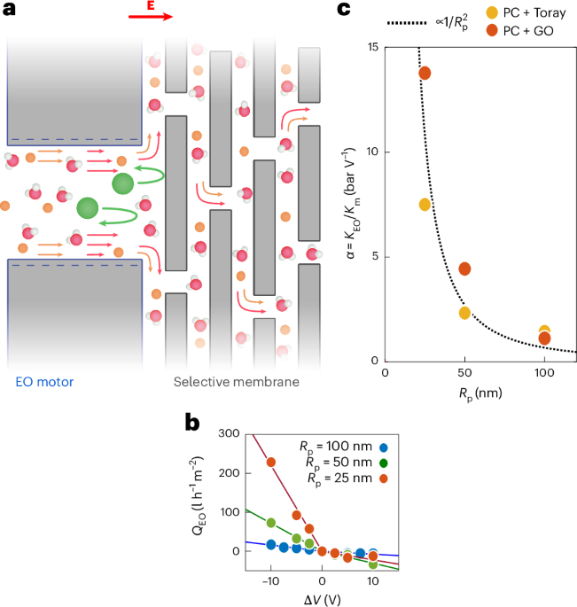 Harnessing nanofluidic rectification for electrically driven water purification - Nature MaterialsElectro-osmotic flow rectification, a nonlinea...