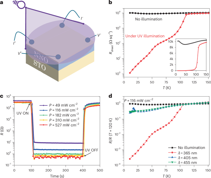 Giant photoconductance at infinite-layer nickelate/SrTiO<sub>3</sub> interfaces via an optically induced high-mobility electron gas
