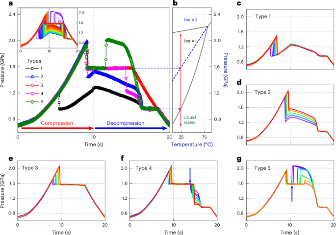 Multiple freezing–melting pathways of high-density ice through ice XXI phase at room temperature