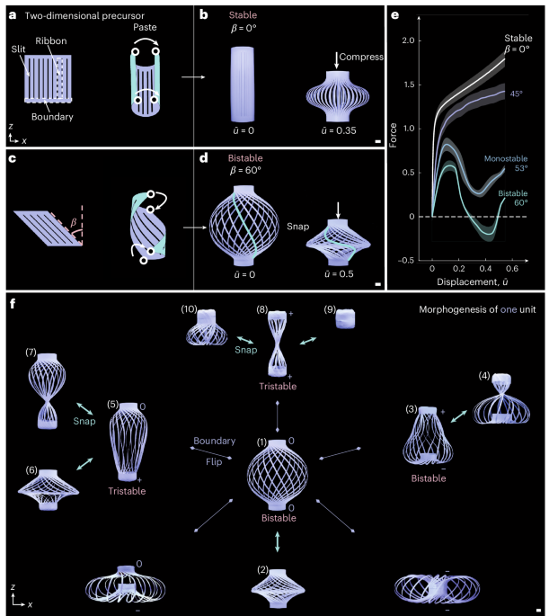 Reprogrammable snapping morphogenesis in ribbon-cluster meta-units using stored elastic energy
