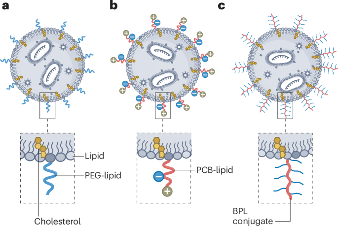 Making way for PEG alternatives - Nature Materials