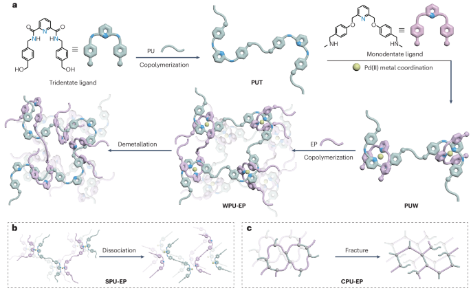 Bound to entangle | Nature Materials