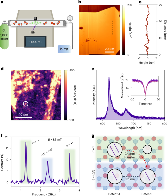Narrowband quantum emitters in hexagonal boron nitride with optically addressable spins - Nature Materials