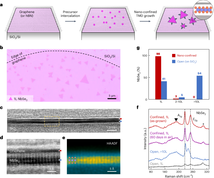 Atomically precise synthesis and simultaneous heterostructure integration of 2D transition metal dichalcogenides through nano-confinement