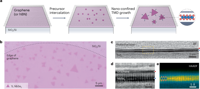 Ultraclean monolayers from a van der Waals confinement